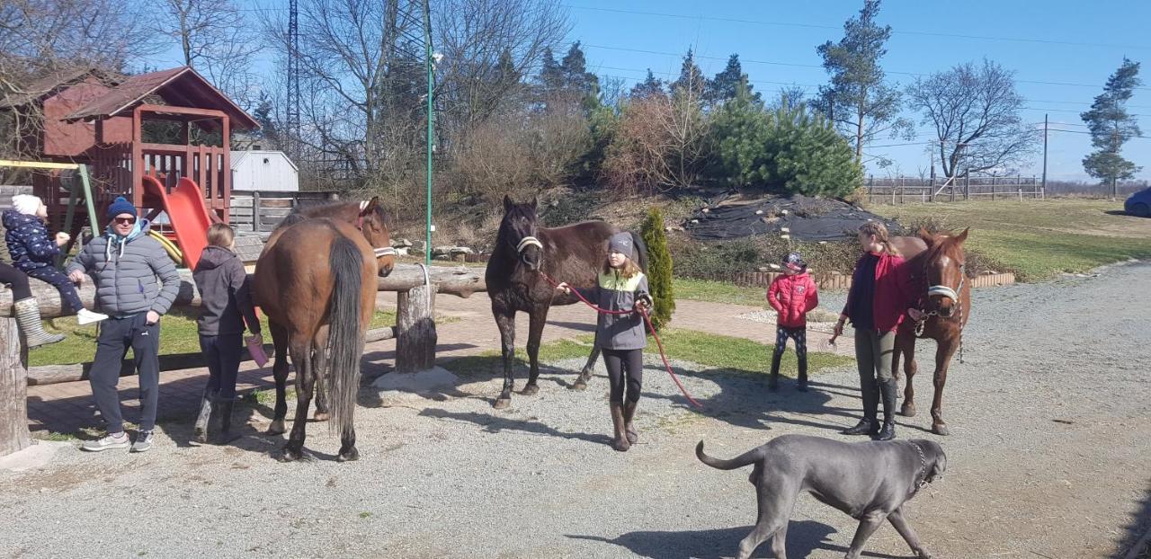Ranc Orlice Villa Trebechovice pod Orebem Luaran gambar