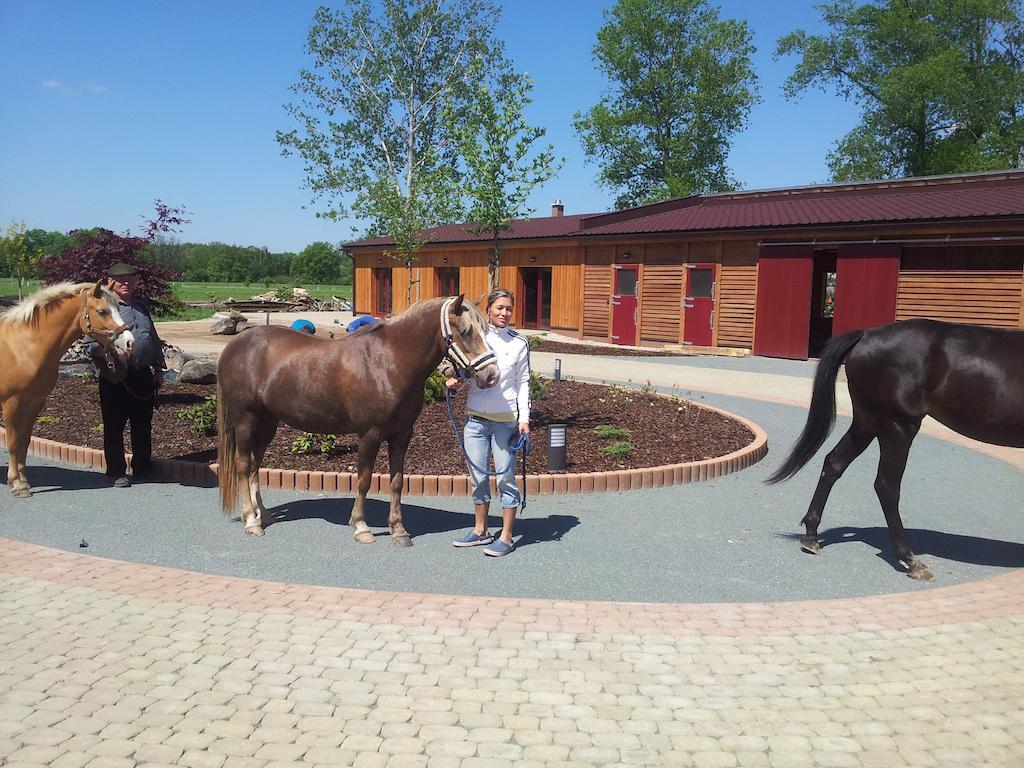 Ranc Orlice Villa Trebechovice pod Orebem Luaran gambar